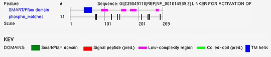 Summary of results reported by the Phospho.ELM BLAST Search