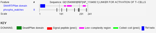 Summary of results reported by the Phospho.ELM BLAST Search