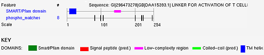 Summary of results reported by the Phospho.ELM BLAST Search