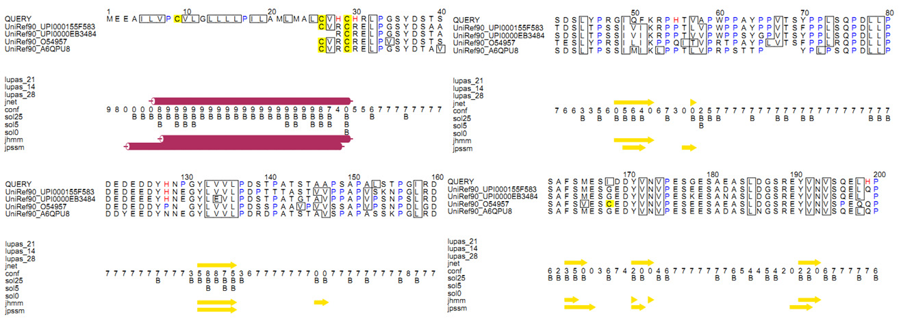 Predicted secondary structures of LAT